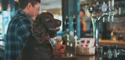 Dog-Friendly Pubs